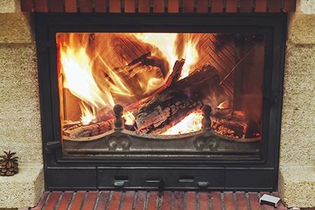 Gas Fireplaces Stoves More in Williamston MI Alpha Omega